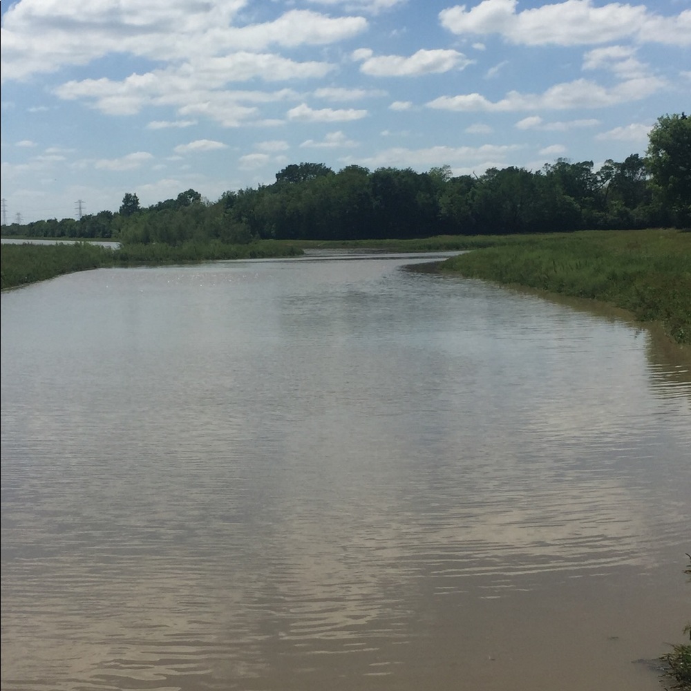 Meet your Posher, Charlotte